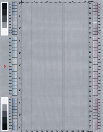 Vertical line(s) or line segment(s)