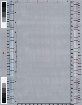 White horizontal line(s) or band(s)