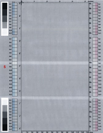 White horizontal line(s) or band(s)