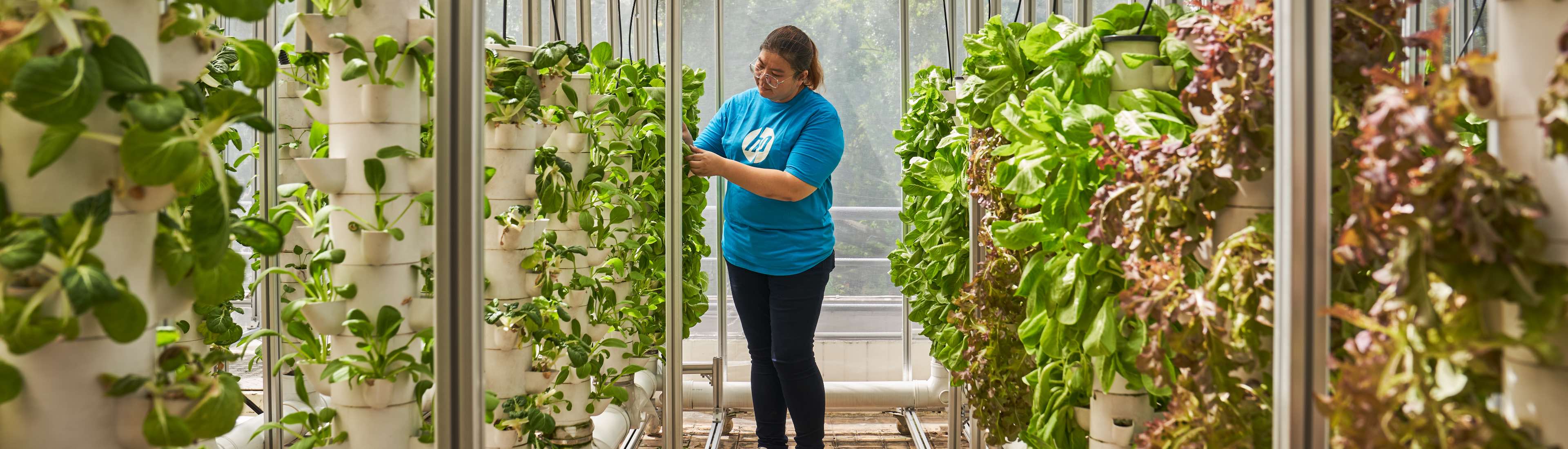 Lady Gardening