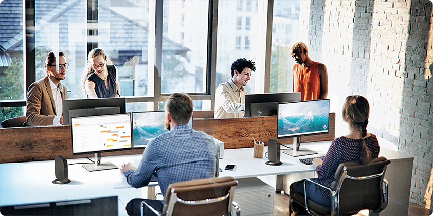 A group of co-workers in their office working with their HP Thin Client computers on their desks.