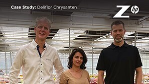 Z by HP Data Science Success Story: Deliflor Chrysanten