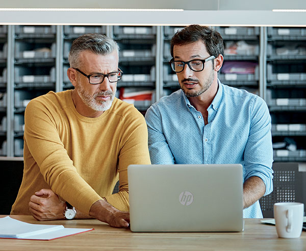 People working on an HP Laptop