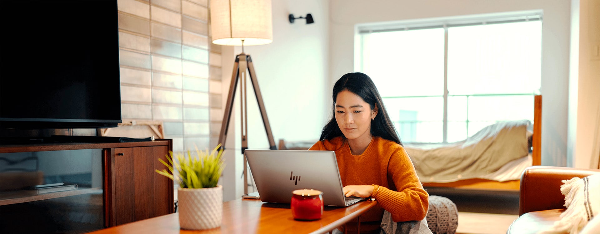 Woman using laptop at home