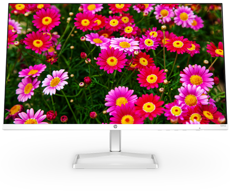 HP monitor